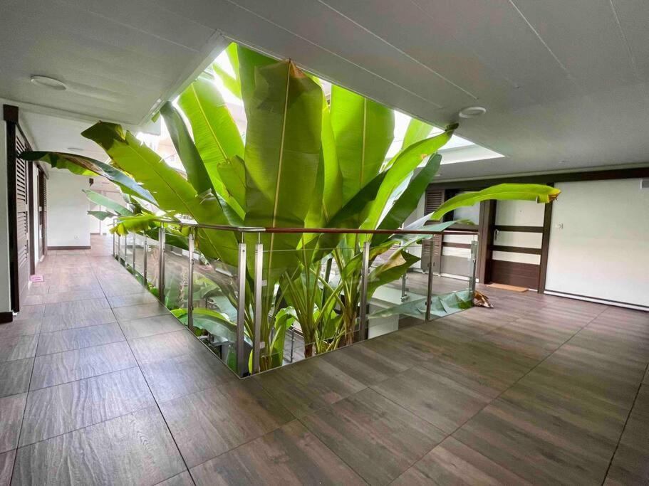 Superbe Appartement, Piscine, Vue Mer Et Montagnes アンティーブ エクステリア 写真