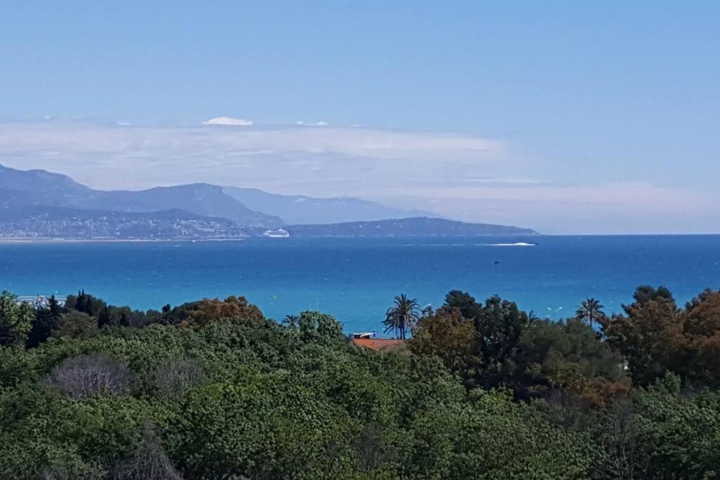 Superbe Appartement, Piscine, Vue Mer Et Montagnes アンティーブ エクステリア 写真