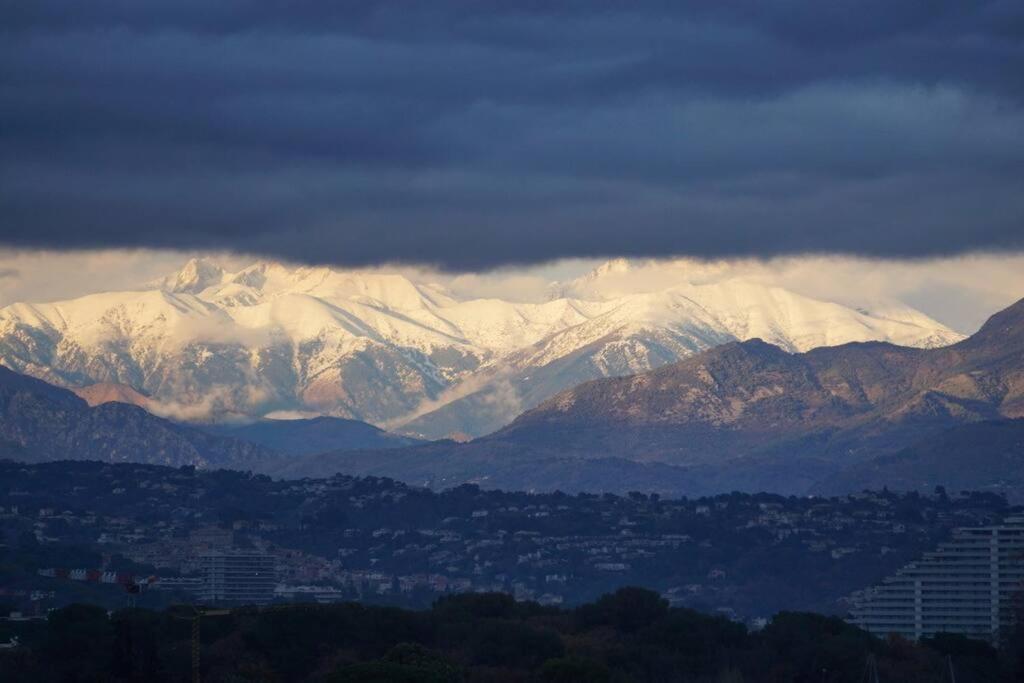 Superbe Appartement, Piscine, Vue Mer Et Montagnes アンティーブ エクステリア 写真
