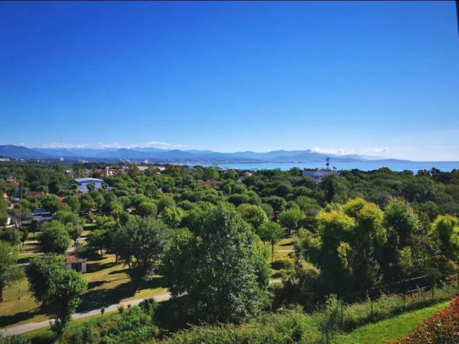 Superbe Appartement, Piscine, Vue Mer Et Montagnes アンティーブ エクステリア 写真